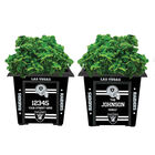 The NFL Personalized Planters 1929 0048 a raiders