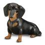 Devoted Friend 5123 004 3 1