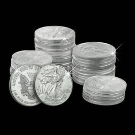 American Silver Eagles of New Millennium 2845 001 3 3