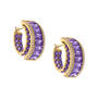 Ultimate Birthstone Hoops 12124 0014 b february
