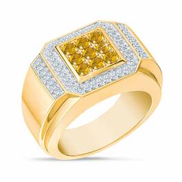 Birthstone Distinction Mens Ring 4993 001 9 11