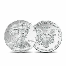 The Complete 20th Century American Silver Eagle Collection 4673 001 6 4
