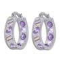 Crystal Celebrations Hoop Earrings 4608 002 4 9