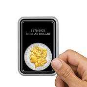 Portraits of Liberty platinum&Gold Coin Collection 11397 0016 b hand