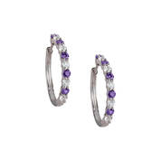 Birthstone Brilliance Hoops 12064 0016 b february