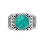 Guardian of the West Turquoise Ring, Guardian of the West Turquoise Ring 12132 0014 b ring
