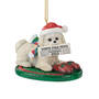 Dog Annual Ornament Bichon 6428 0696 a main