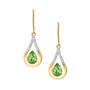 The Birthstone Diamond Drop Earrings 11073 0017 h august