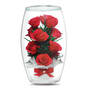 Miracle Roses 4538 0011 a main