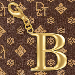 The Signature Monogram Sachel 53 0022 d initial