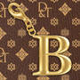 The Signature Monogram Sachel 53 0022 d initial