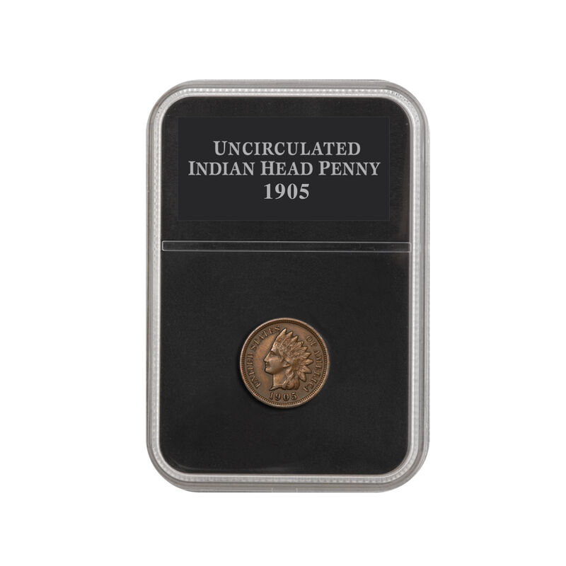 Uncirculated Indian Head Pennies 4514 0050 b showpack