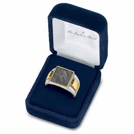 Galactic Voyager Meteorite Ring 1865 001 0 4