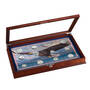 Eagle Silver Coin Collection 10035 0016 a display