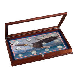 Eagle Silver Coin Collection 10035 0016 a display