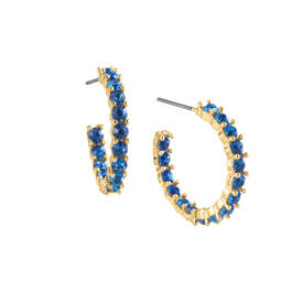 Joyful Hues Hoop Earring Collection 12433 0010 b earring