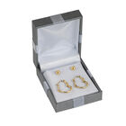 The Gold Hearts and Studs Earring Set 10136 0014 g gift display