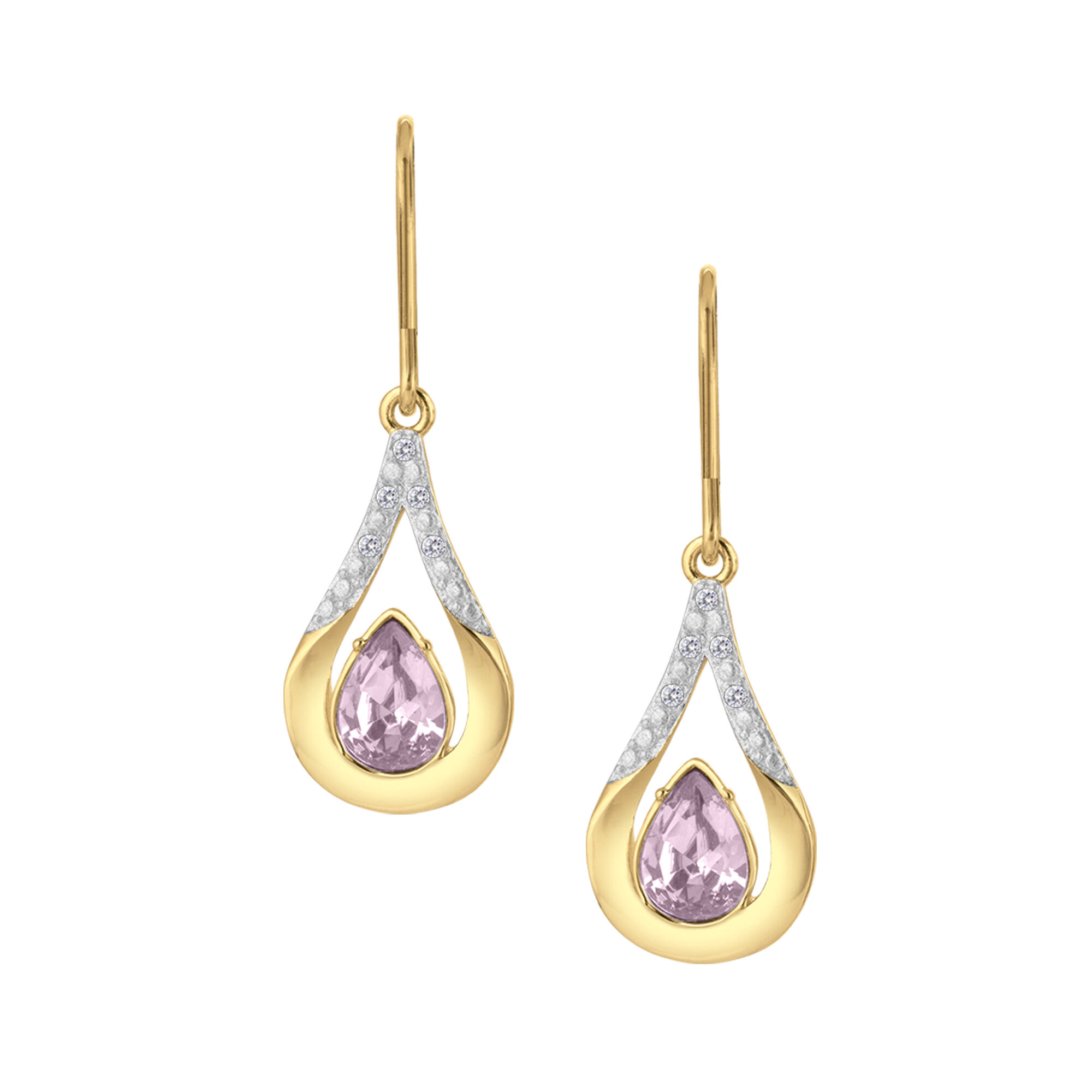 The Birthstone Diamond Drop Earrings 11073 0017 f june