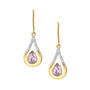 The Birthstone Diamond Drop Earrings 11073 0017 f june