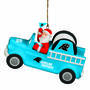 Football Panthers Ornament 1443 1571 a main