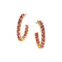 Joyful Hues Hoop Earring Collection 12433 0010 e earring