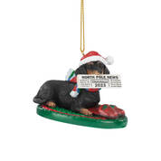 Dog Annual Ornament DachsBT 6428 0761 a main