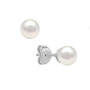 Seven Days of Dazzle Gemstone Earring Collection, Seven Days of Dazzle Gemstone Earring Collection 11974 0017 g earring06
