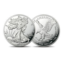 Best Coins of the Year 5161 0194 d eagle