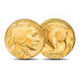 Gold Enhanced US Coins 11130 0026 a main