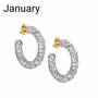 Holiday Hoops Crystal Earring Collection 6442 002 9 2