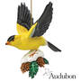 Audubon Songbird Ornaments - Your 1st One is FREE!, Songbird Christmas Ornaments 9859 0045 d main