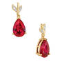 The Ruby Fire Rose Earrings 11862 0038 a main