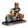 Bad to the Bone Yorkie Sculpture 2763 012 8 1