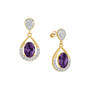 Birthstone Drop Earrings 6930 0036 b february