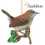 Audubon Songbird Ornaments - Your 1st One is FREE!, Songbird Christmas Ornaments 9859 0045 b main
