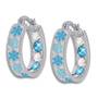 Crystal Celebrations Hoop Earrings 4608 002 4 6