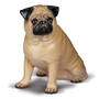 Devoted Friend 5123 005 0 1