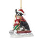 Dog Annual Ornament Boston Terrier 6428 0704 a main