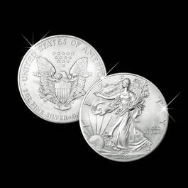 American Silver Eagles of New Millennium 2845 001 3 2