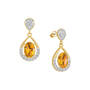 Birthstone Drop Earrings, Birthstone Drop Earrings 6930 0036 k november