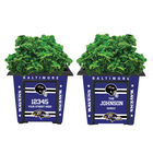 The NFL Personalized Planters 1929 0048 a ravens