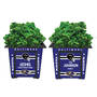 The NFL Personalized Planters 1929 0048 a ravens