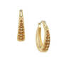 Cheers! 12 Hoop Earring Collection, Cheers 12 Hoop Earring Collection 12202 0019 g earring