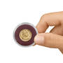 Gold Coin of the Inca 11812 0153 b handshot