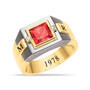 Personal Legacy Birthstone and Diamond Ring 12236 0019 g july