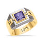 Personal Legacy Birthstone and Diamond Ring 12236 0019 b february