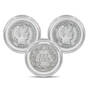 Liberty Head Silver Dimes Collection 11053 0011 r coin