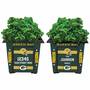 The Green Bay Packers Personalized Planters 1929 001 4 1