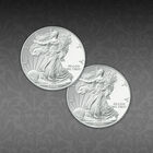 4673 Silver Eagles 20thC Complete 4673 0057 c coin