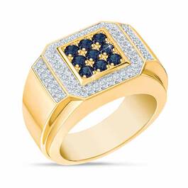 Birthstone Distinction Mens Ring 4993 001 9 9